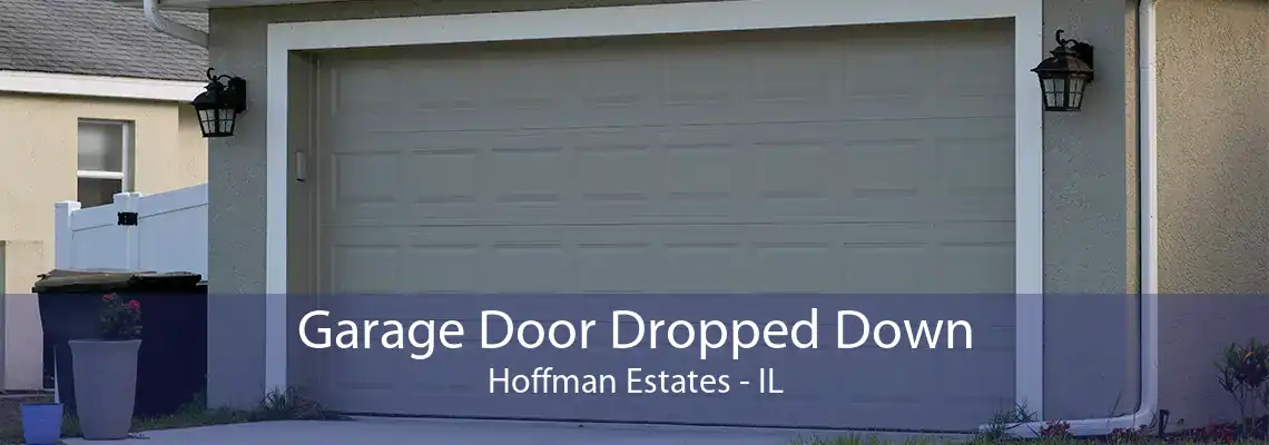 Garage Door Dropped Down Hoffman Estates - IL