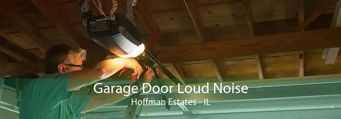 Garage Door Loud Noise Hoffman Estates - IL