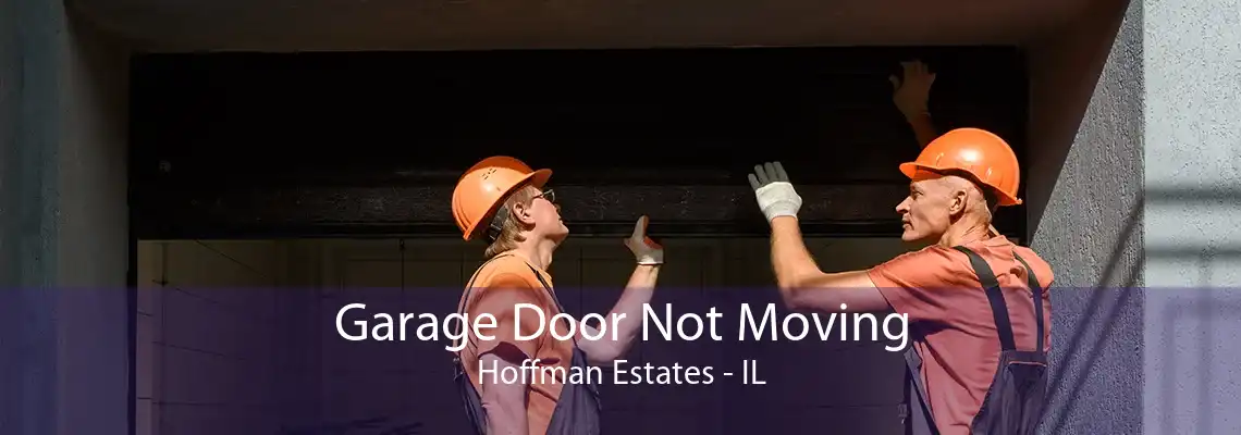 Garage Door Not Moving Hoffman Estates - IL