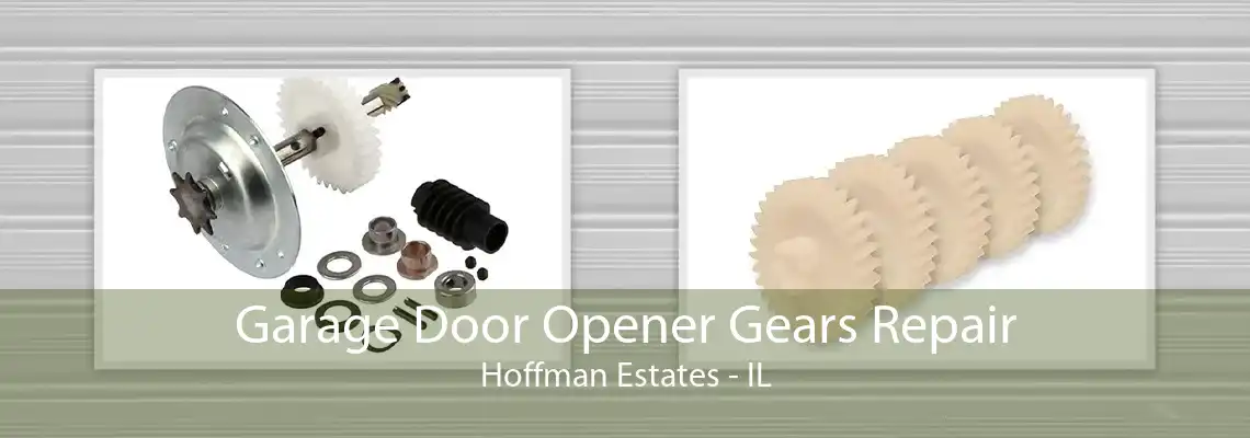 Garage Door Opener Gears Repair Hoffman Estates - IL