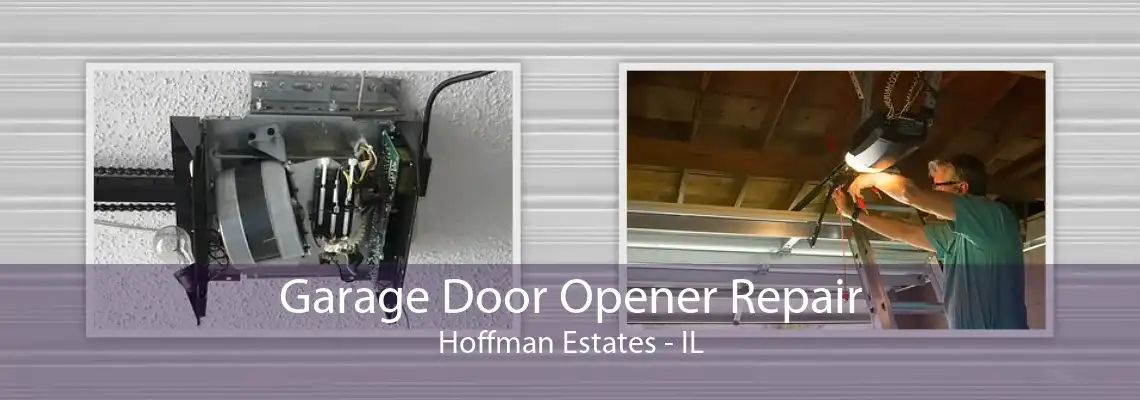 Garage Door Opener Repair Hoffman Estates - IL