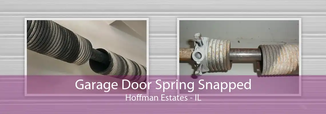 Garage Door Spring Snapped Hoffman Estates - IL