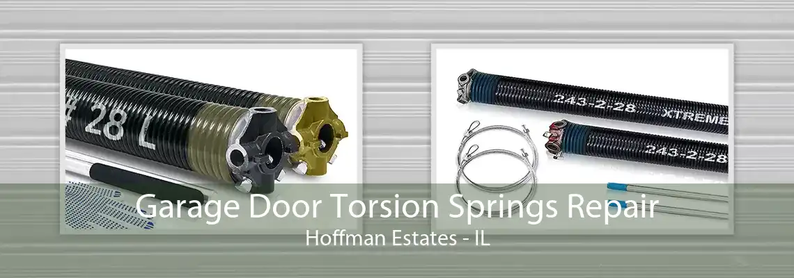 Garage Door Torsion Springs Repair Hoffman Estates - IL