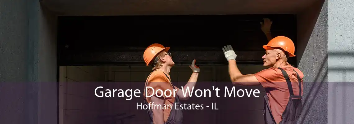 Garage Door Won't Move Hoffman Estates - IL