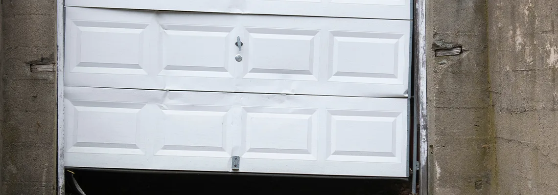 Garage Door Got Hit By A Car Dent Removal in Hoffman Estates, IL